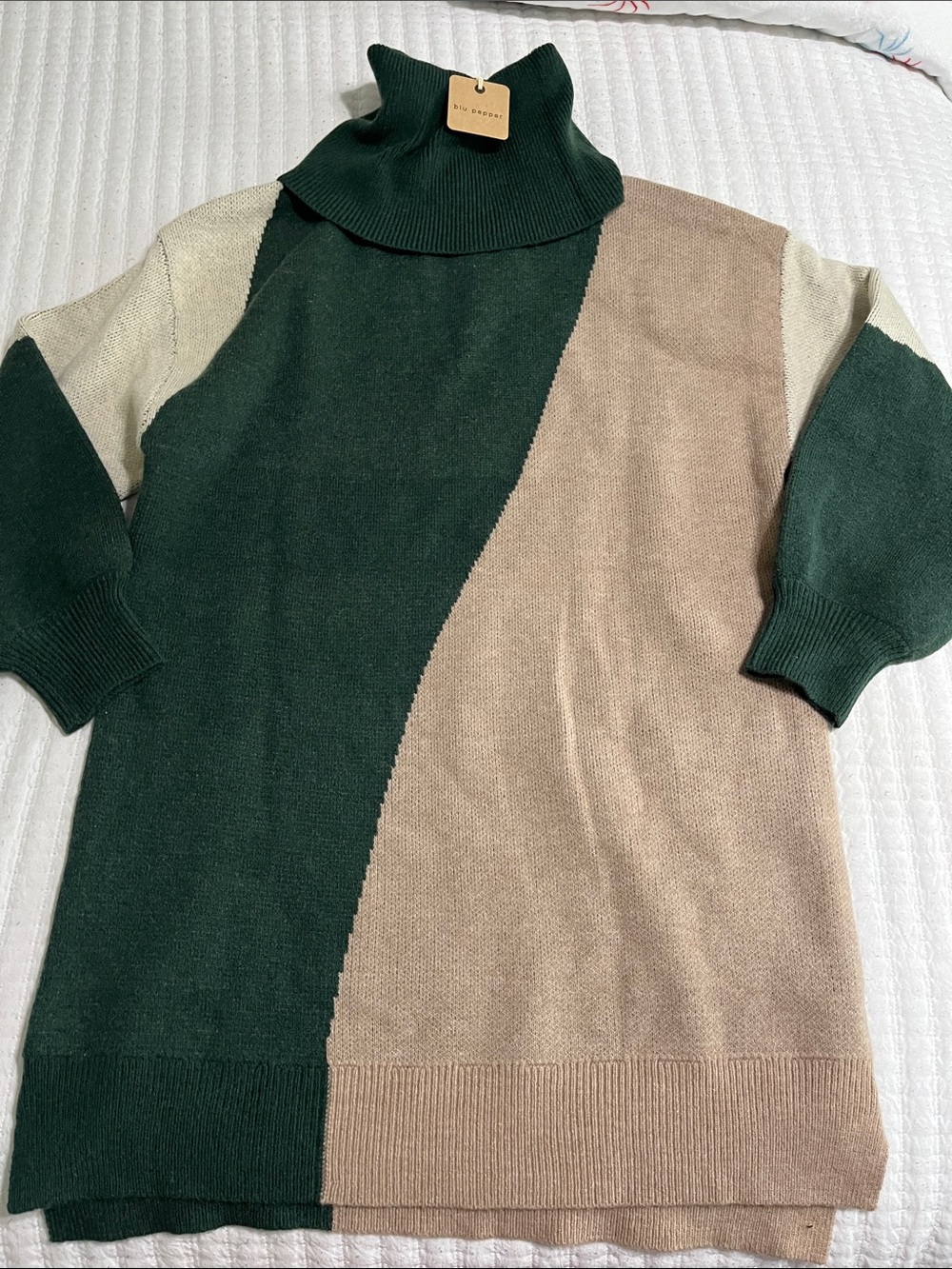Blu Pepper Colorblock Turtleneck Sweater Dress in Green, Tan & Cream
